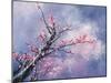 Blossom Season-Thomas Leung-Mounted Giclee Print