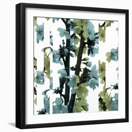 Blossom Shift II-Sarah Cheyne-Framed Giclee Print