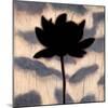 Blossom Silhouette I-Erin Lange-Mounted Art Print