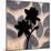 Blossom Silhouette II-Erin Lange-Mounted Art Print