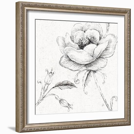 Blossom Sketches II-Daphne Brissonnet-Framed Art Print