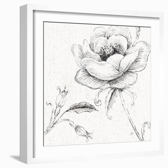 Blossom Sketches II-Daphne Brissonnet-Framed Art Print