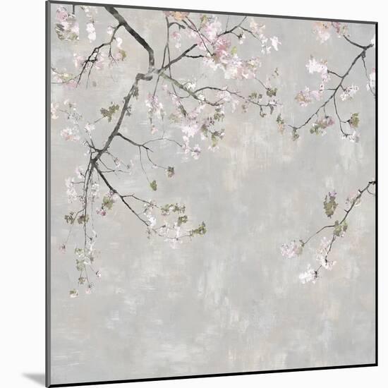 Blossom Spray II-Tania Bello-Mounted Giclee Print