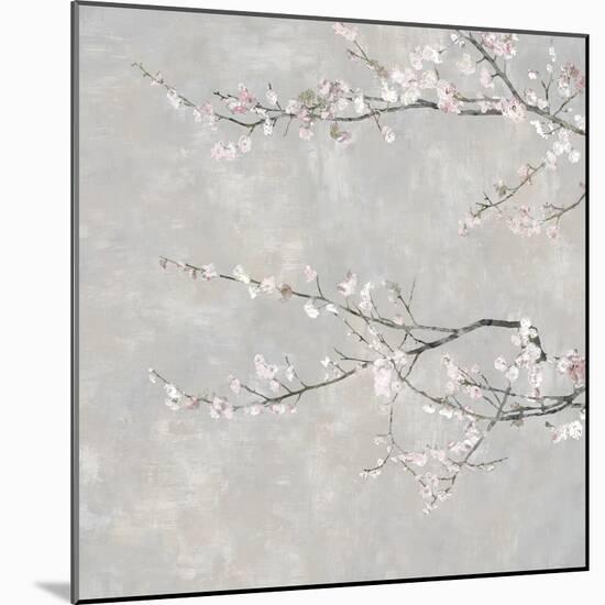 Blossom Spray III-Tania Bello-Mounted Giclee Print