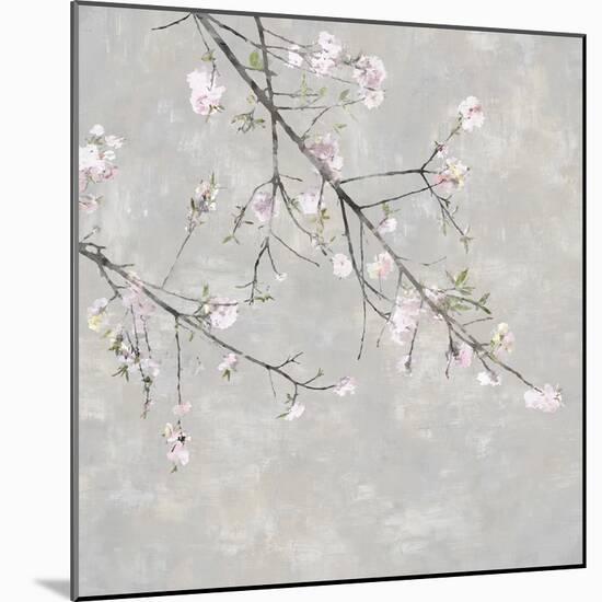 Blossom Spray IV-Tania Bello-Mounted Giclee Print