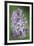 Blossom Tower-Staffan Widstrand-Framed Giclee Print