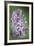 Blossom Tower-Staffan Widstrand-Framed Giclee Print