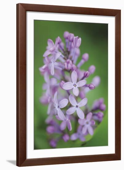 Blossom Tower-Staffan Widstrand-Framed Giclee Print