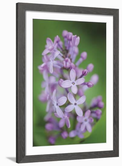 Blossom Tower-Staffan Widstrand-Framed Giclee Print