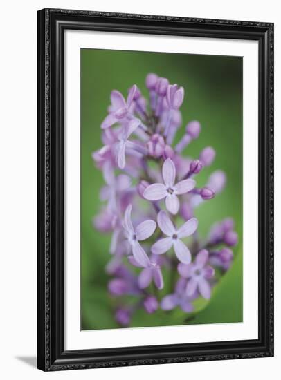 Blossom Tower-Staffan Widstrand-Framed Giclee Print