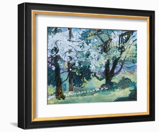 Blossom Trees, Paxton, 2021 (Acrylic)-Ann Oram-Framed Giclee Print