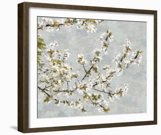 Blossom Whirl I-Tania Bello-Framed Giclee Print