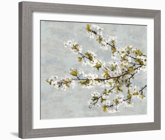 Blossom Whirl II-Tania Bello-Framed Giclee Print