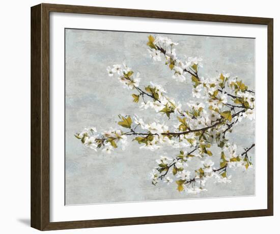 Blossom Whirl II-Tania Bello-Framed Giclee Print