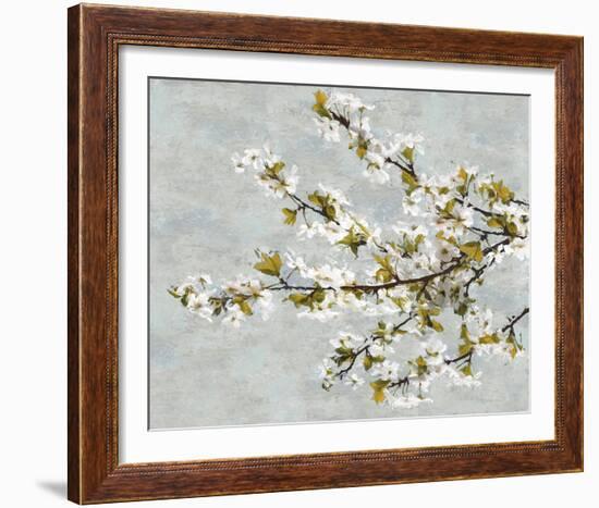 Blossom Whirl II-Tania Bello-Framed Giclee Print