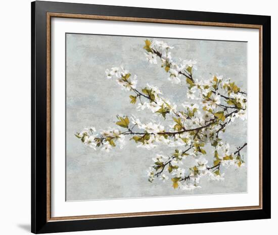Blossom Whirl II-Tania Bello-Framed Giclee Print