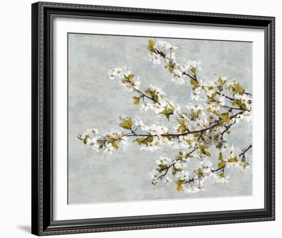 Blossom Whirl II-Tania Bello-Framed Giclee Print