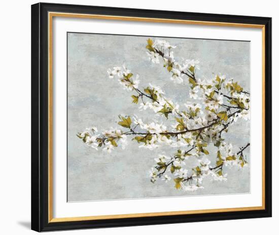 Blossom Whirl II-Tania Bello-Framed Giclee Print