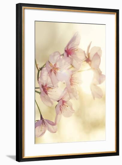 Blossom-Andreas Stridsberg-Framed Giclee Print