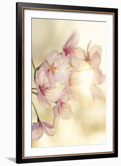 Blossom-Andreas Stridsberg-Framed Giclee Print