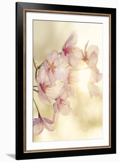 Blossom-Andreas Stridsberg-Framed Giclee Print