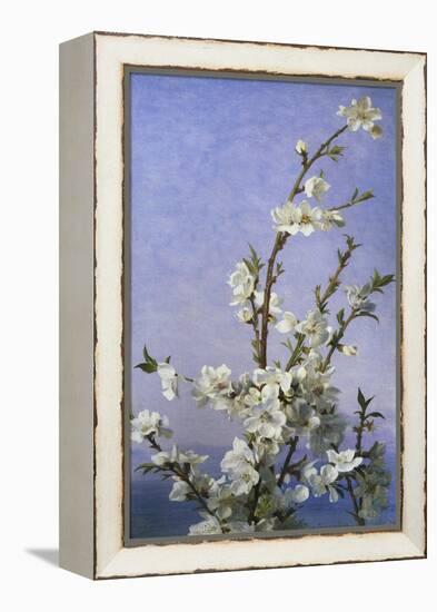 Blossom-Sophie Anderson-Framed Premier Image Canvas