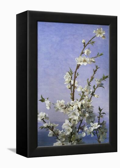 Blossom-Sophie Anderson-Framed Premier Image Canvas