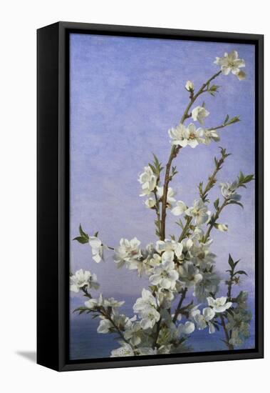 Blossom-Sophie Anderson-Framed Premier Image Canvas