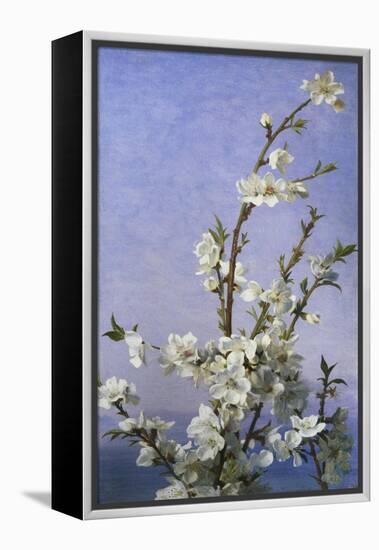 Blossom-Sophie Anderson-Framed Premier Image Canvas