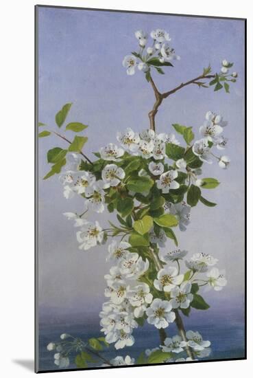 Blossom-Sophie Anderson-Mounted Giclee Print