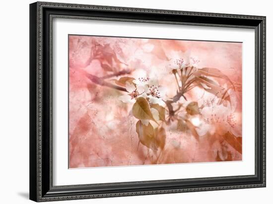 Blossom-Jacky Parker-Framed Giclee Print