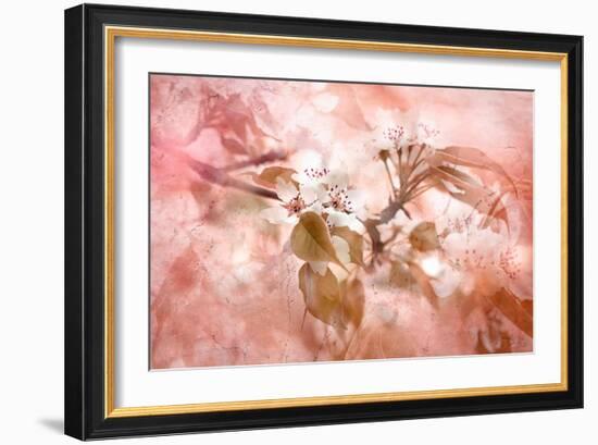 Blossom-Jacky Parker-Framed Giclee Print