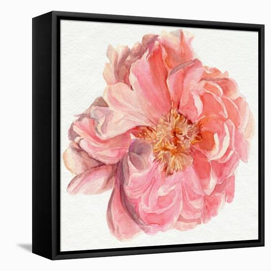 Blossomed Peony I-Jennifer Parker-Framed Stretched Canvas