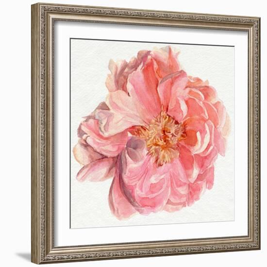 Blossomed Peony I-Jennifer Parker-Framed Art Print