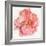 Blossomed Peony I-Jennifer Parker-Framed Art Print