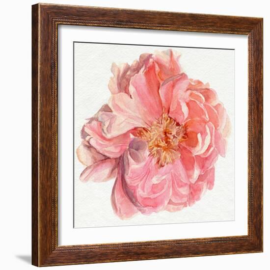Blossomed Peony I-Jennifer Parker-Framed Art Print