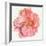 Blossomed Peony I-Jennifer Parker-Framed Art Print