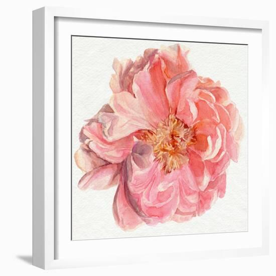 Blossomed Peony I-Jennifer Parker-Framed Art Print