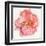 Blossomed Peony I-Jennifer Parker-Framed Art Print