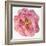 Blossomed Peony II-Jennifer Parker-Framed Art Print