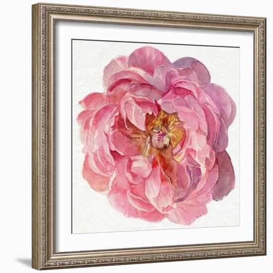 Blossomed Peony II-Jennifer Parker-Framed Art Print