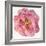 Blossomed Peony II-Jennifer Parker-Framed Art Print