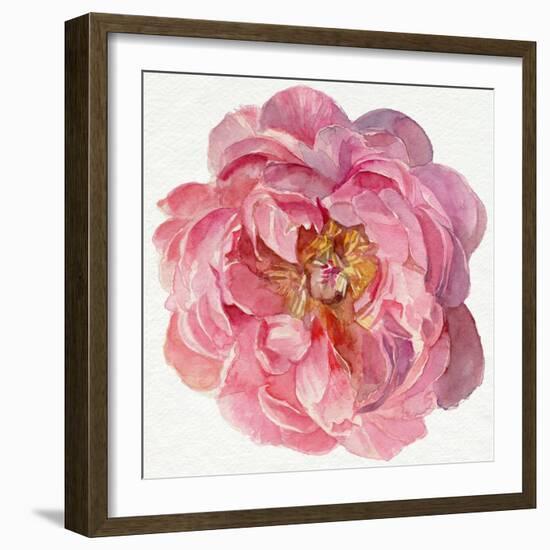 Blossomed Peony II-Jennifer Parker-Framed Art Print