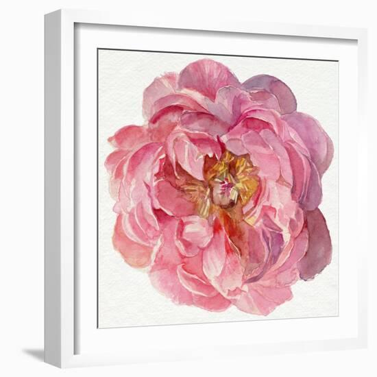 Blossomed Peony II-Jennifer Parker-Framed Art Print