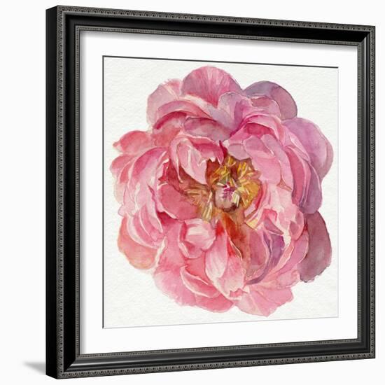 Blossomed Peony II-Jennifer Parker-Framed Art Print