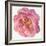 Blossomed Peony II-Jennifer Parker-Framed Art Print