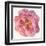 Blossomed Peony II-Jennifer Parker-Framed Art Print
