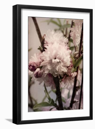 Blossoming Almond 2-Julie Greenwood-Framed Premium Giclee Print