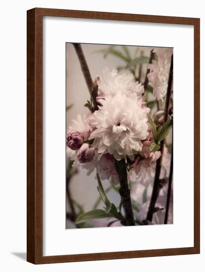 Blossoming Almond 2-Julie Greenwood-Framed Premium Giclee Print