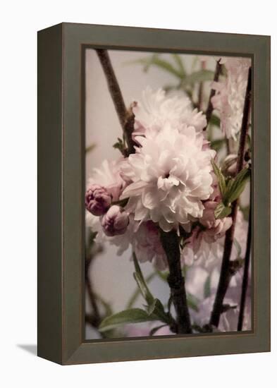 Blossoming Almond 2-Julie Greenwood-Framed Stretched Canvas